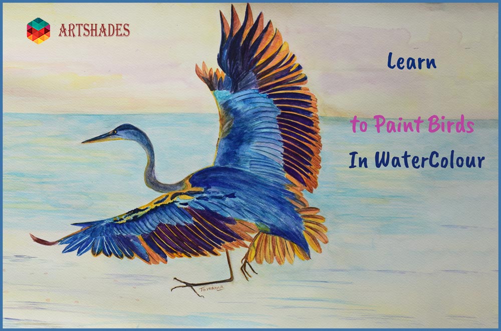 Learn Birds Painting at ArtShades In WaterColours