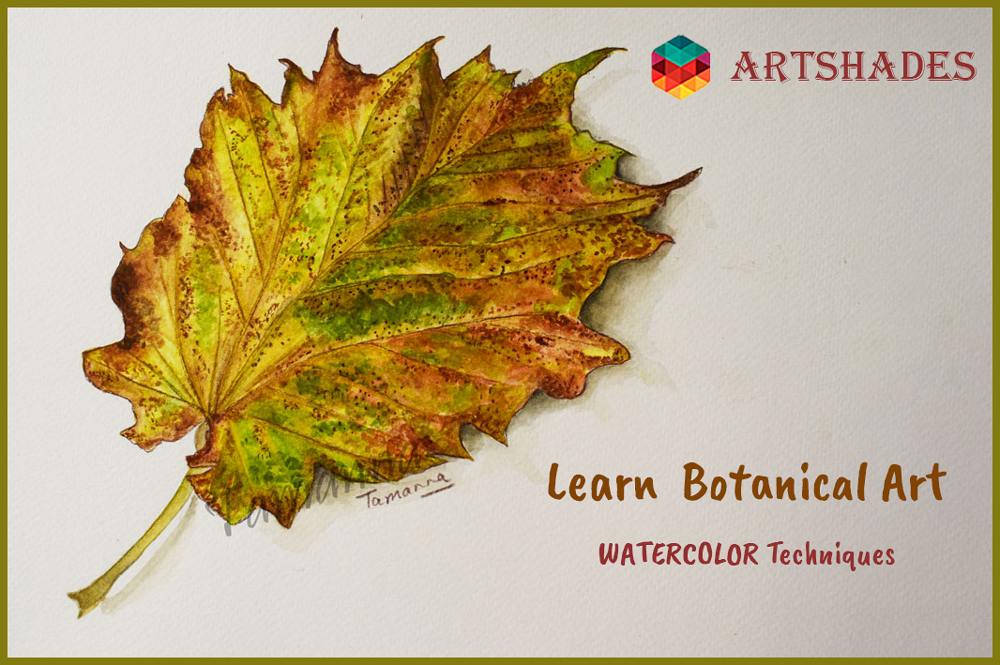 Learn Botanical Art Painting at ArtShades In WaterColours