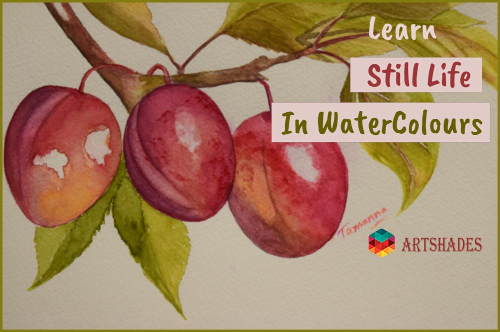 Learn Still Life Painting at ArtShades In WaterColours